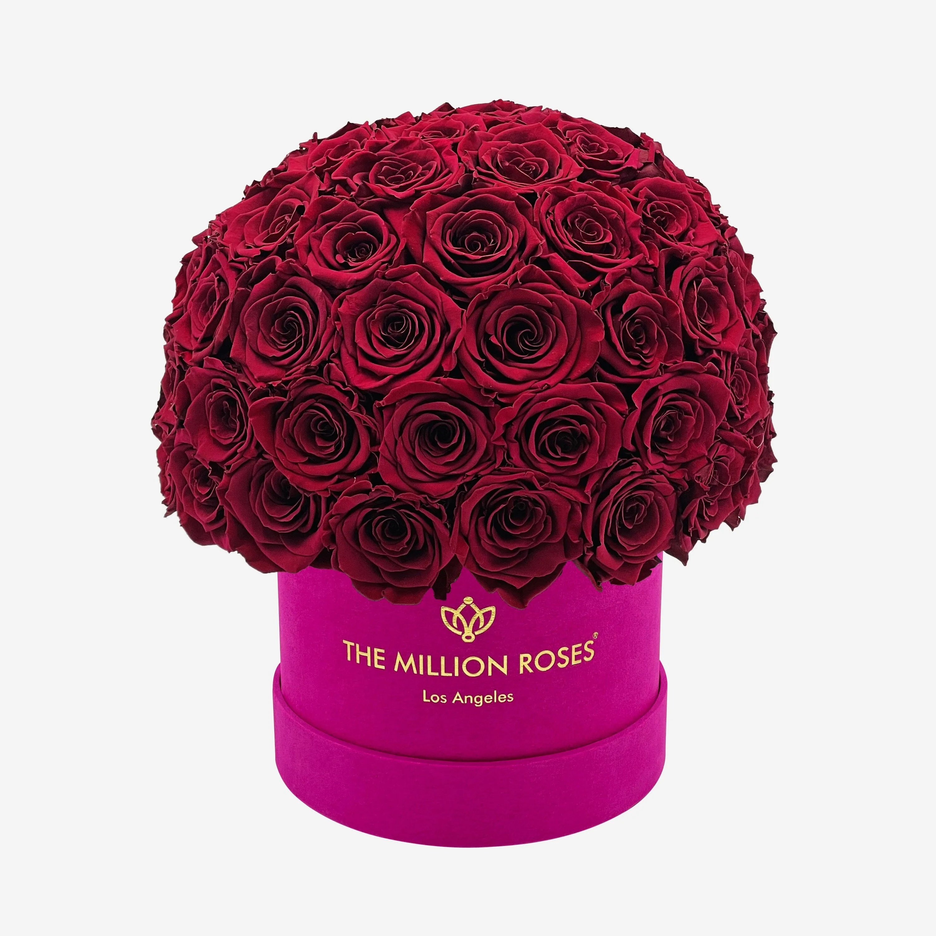 Classic Hot Pink Suede Superdome Box | Burgundy Roses