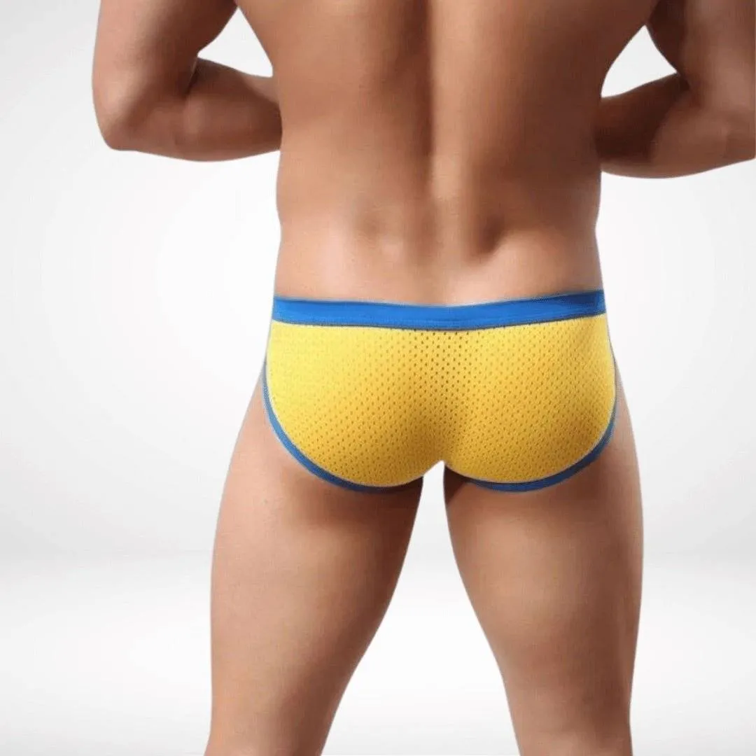 Mesh Low-Rise Color Contrast Briefs
